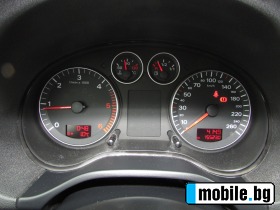Audi A3 1.9TDI EURO4 | Mobile.bg   13
