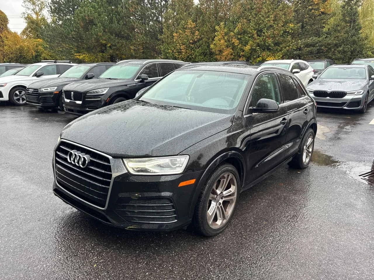 Audi Q3 * Progressiv * CARFAX * ОПЦИЯ ЗА ФИНАНСИРАНЕ | Auto.bg — изображение 1 Audi Q3 * Progressiv * CARFAX * ОПЦИЯ ЗА ФИНАНСИРАНЕ | Auto.bg — изображение 1