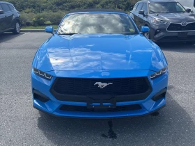 Ford Mustang EcoBoost / АвтоКредит | Auto.bg — изображение 6 Ford Mustang EcoBoost / АвтоКредит | Auto.bg — изображение 6