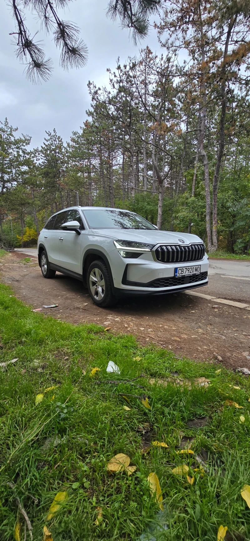 Skoda Kodiaq Edition - Лизинг - 81000 лв. / 41414.64 € - 93792975 1 | Car24.bg Skoda Kodiaq Edition - Лизинг - 81000 лв. / 41414.64 € - 93792975 1