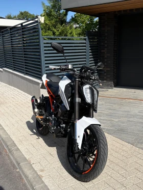 Ktm Duke