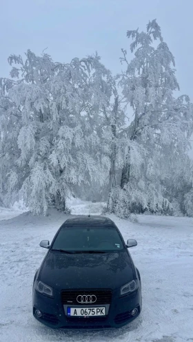 Audi A3 2.0 TDI Sportback - 10500 € / 20536.22 лв. - 32838517 7 | Car24.bg Audi A3 2.0 TDI Sportback - 10500 € / 20536.22 лв. - 32838517 7