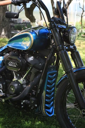 Harley-Davidson Softail FXBBS | Auto.bg — изображение 16 Harley-Davidson Softail FXBBS | Auto.bg — изображение 16