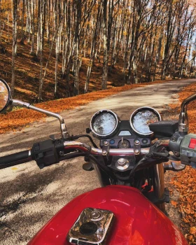 Kawasaki ER ER500 | Auto.bg — изображение 5 Kawasaki ER ER500 | Auto.bg — изображение 5
