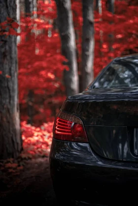 BMW M5 Обслужени лагери, LCI | Auto.bg — изображение 8 BMW M5 Обслужени лагери, LCI | Auto.bg — изображение 8