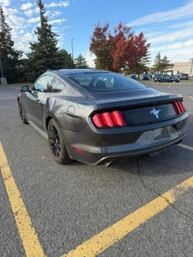 Ford Mustang * V6 * CARFAX * БЕЗ ПЪРВОНАЧАЛНА ВНОСКА - 22450 лв. / 11478.50 € - 67451529 6 | Car24.bg Ford Mustang * V6 * CARFAX * БЕЗ ПЪРВОНАЧАЛНА ВНОСКА - 22450 лв. / 11478.50 € - 67451529 6