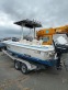 Обява за продажба на Лодка Собствено производство Wellcraft -20fish ~28 500 лв. - изображение 1
