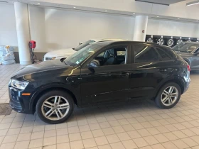 Audi Q3 * quattro * Komfort * CARFAX * БЕЗ ПЪРВОНАЧ - 22100 лв. / 11299.55 € - 51158624 2 | Car24.bg Audi Q3 * quattro * Komfort * CARFAX * БЕЗ ПЪРВОНАЧ - 22100 лв. / 11299.55 € - 51158624 2