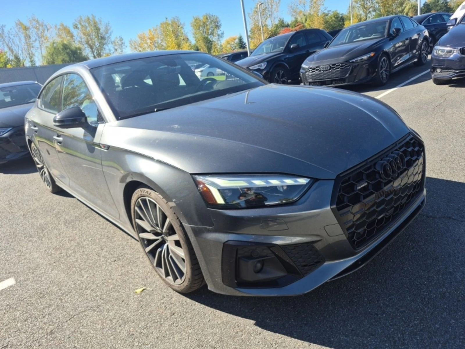 Audi A5 45TFSI QUATTRO TECHNIK Автокредит Цена до България | Auto.bg — изображение 1 Audi A5 45TFSI QUATTRO TECHNIK Автокредит Цена до България | Auto.bg — изображение 1