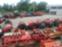 Обява за продажба на Пръскачка Голямо разнообразие внос от Италия ~1 400 лв. - изображение 11