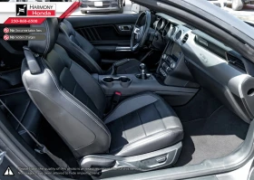 Ford Mustang EcoBoost Premium* АвтоКредит* (ЦЕНА ДО БГ) - 30399 € / 59455.28 лв. - 42749389 8 | Car24.bg Ford Mustang EcoBoost Premium* АвтоКредит* (ЦЕНА ДО БГ) - 30399 € / 59455.28 лв. - 42749389 8