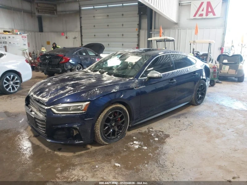 Audi S5 3.0T PREMIUM PLUS | ЦЕНА ДО БЪЛГАРИЯ | - 13500 € / 26403.70 лв. - 28849090 1 | Car24.bg Audi S5 3.0T PREMIUM PLUS | ЦЕНА ДО БЪЛГАРИЯ | - 13500 € / 26403.70 лв. - 28849090 1
