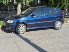 VW Polo