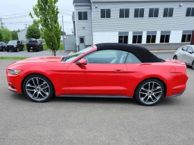 Ford Mustang * EcoBoost Premium * CARFAX * ОПЦИЯ ЗА ФИНАНСИРАНЕ | Auto.bg — изображение 2 Ford Mustang * EcoBoost Premium * CARFAX * ОПЦИЯ ЗА ФИНАНСИРАНЕ | Auto.bg — изображение 2