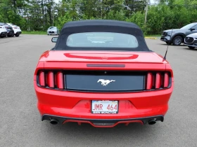 Ford Mustang * EcoBoost Premium * CARFAX * ОПЦИЯ ЗА ФИНАНСИРАНЕ | Auto.bg — изображение 4 Ford Mustang * EcoBoost Premium * CARFAX * ОПЦИЯ ЗА ФИНАНСИРАНЕ | Auto.bg — изображение 4