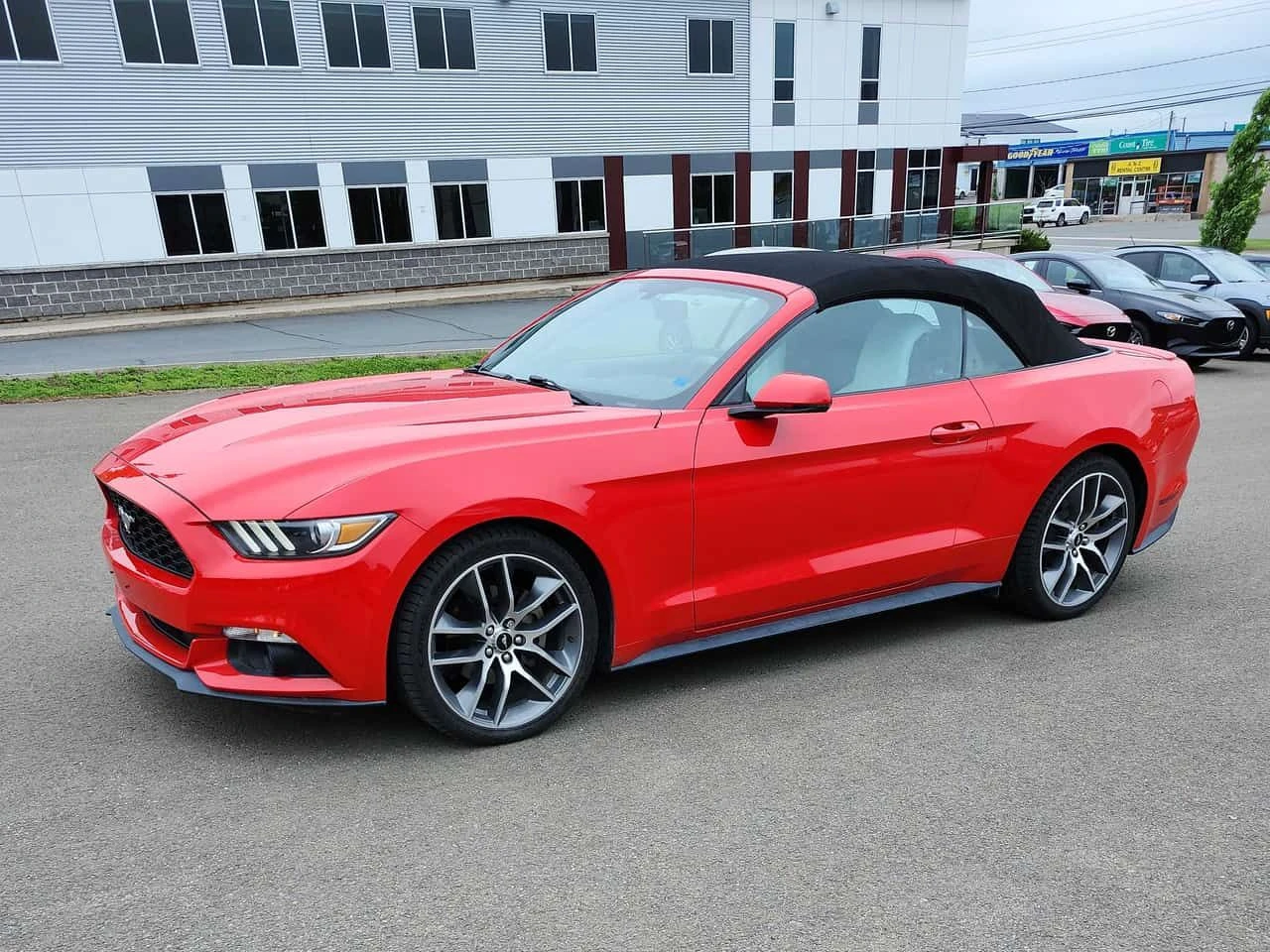 Ford Mustang * EcoBoost Premium * CARFAX * ОПЦИЯ ЗА ФИНАНСИРАНЕ | Auto.bg — изображение 1 Ford Mustang * EcoBoost Premium * CARFAX * ОПЦИЯ ЗА ФИНАНСИРАНЕ | Auto.bg — изображение 1