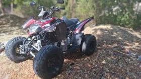 Aeon Cobra 350 | Auto.bg — изображение 13 Aeon Cobra 350 | Auto.bg — изображение 13