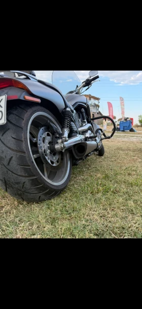Harley-Davidson V-Rod MUSCLE