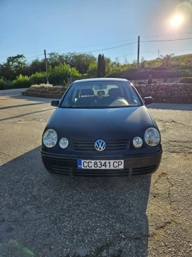 VW Polo