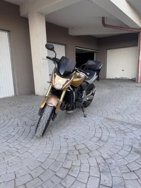 Honda Hornet