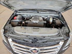 Cadillac Escalade undefined | Auto.bg — изображение 12 Cadillac Escalade undefined | Auto.bg — изображение 12