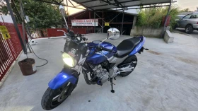 Honda Hornet