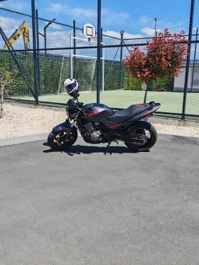 Honda Hornet cbf