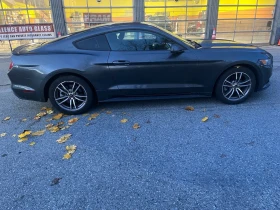 Ford Mustang KEYLESS* КАМЕРА* ПОДГРЕВ - 25900 лв. / 13242.46 € - 12794196 8 | Car24.bg Ford Mustang KEYLESS* КАМЕРА* ПОДГРЕВ - 25900 лв. / 13242.46 € - 12794196 8