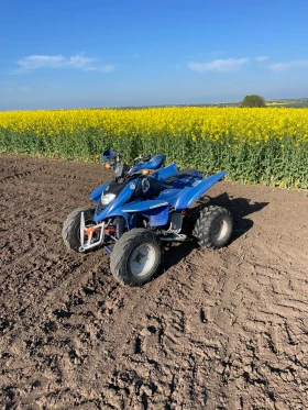 Shineray XY 250