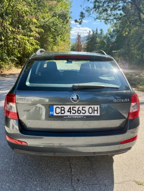 Skoda Octavia 1.6 TDI GERMANY | Auto.bg — изображение 5 Skoda Octavia 1.6 TDI GERMANY | Auto.bg — изображение 5