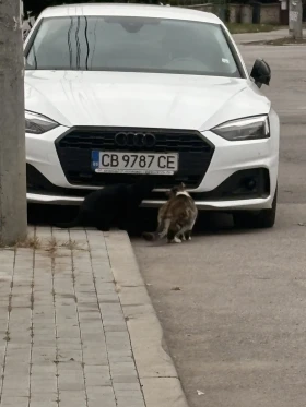 Audi A5 Audi A5 G-tron бензин/метан - Car24.bg Audi A5 Audi A5 G-tron бензин/метан