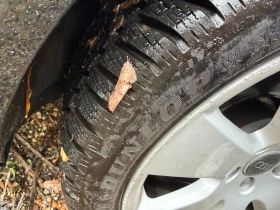 Audi A6 3.0TDI* 4x4* Обслужен - 7999 лв. / 4089.82 € - 61945737 14 | Car24.bg Audi A6 3.0TDI* 4x4* Обслужен - 7999 лв. / 4089.82 € - 61945737 14