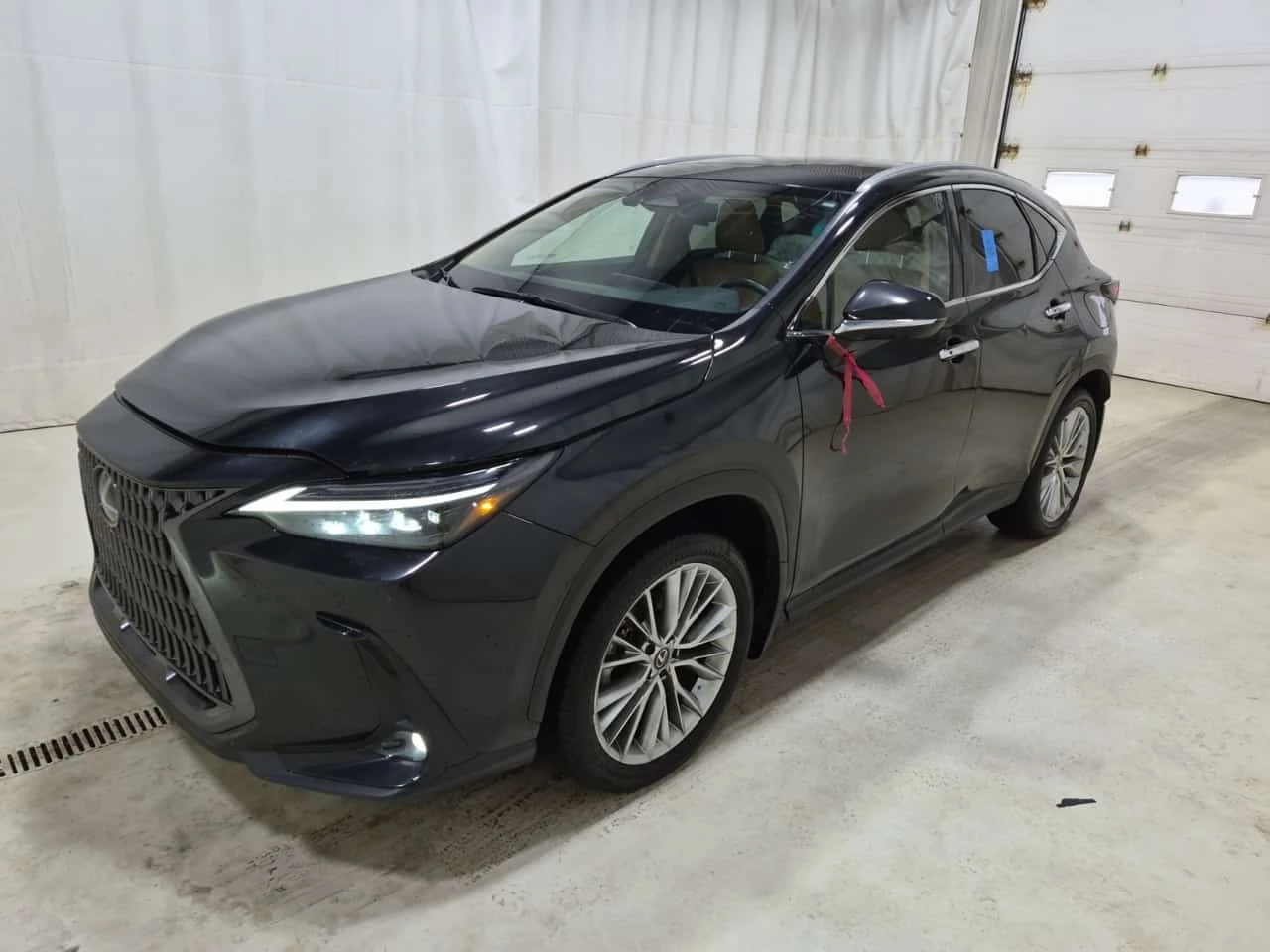 Lexus NX 350h * ОБДУХВАНЕ * 360 * CARFAX * | Auto.bg — изображение 1 Lexus NX 350h * ОБДУХВАНЕ * 360 * CARFAX * | Auto.bg — изображение 1