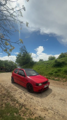 VW Polo