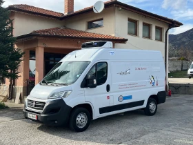 Fiat Ducato 2.3 CARRIER , ХЛАДИЛЕН , -20 , EURO6 , FULL
