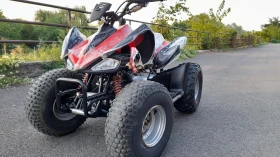 Aeon Cobra 100cc 2t