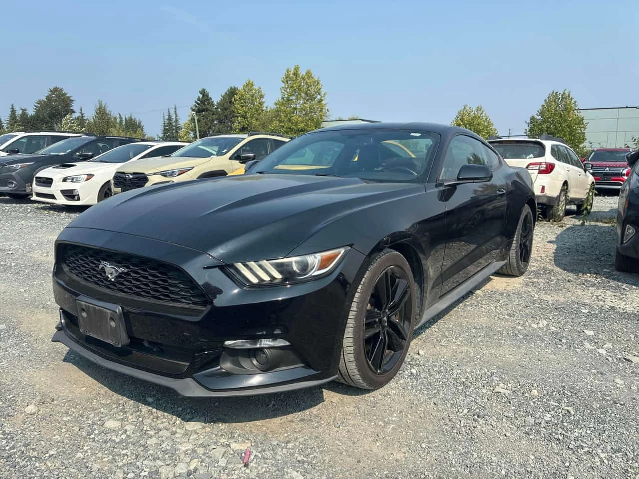 Ford Mustang * EcoBoost * CARFAX * ОПЦИЯ ЗА ФИНАНСИРАНЕ | Auto.bg — изображение 1 Ford Mustang * EcoBoost * CARFAX * ОПЦИЯ ЗА ФИНАНСИРАНЕ | Auto.bg — изображение 1