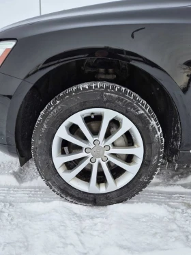 Audi Q5 * 2.0T Progressiv * CARFAX * ЦЕНА ДО БГ - 24100 лв. / 12322.13 € - 98091198 10 | Car24.bg Audi Q5 * 2.0T Progressiv * CARFAX * ЦЕНА ДО БГ - 24100 лв. / 12322.13 € - 98091198 10