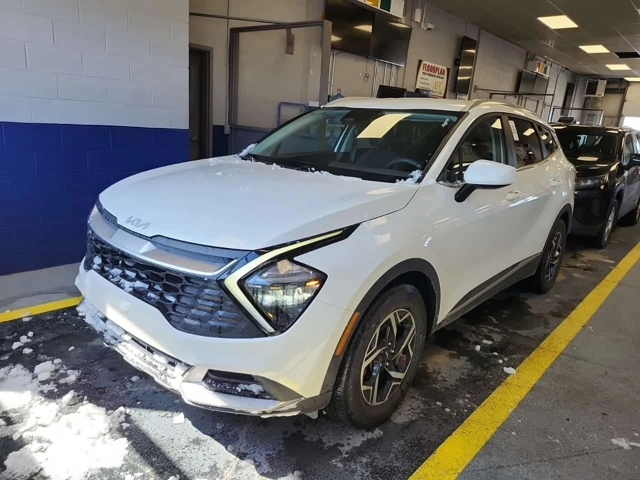 Kia Sportage * ГЛАВНО ПРЕДСТАВИТЕЛСТВО НА KIA* | Auto.bg — изображение 1 Kia Sportage * ГЛАВНО ПРЕДСТАВИТЕЛСТВО НА KIA* | Auto.bg — изображение 1