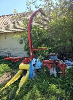 Друг вид Внос Celmack