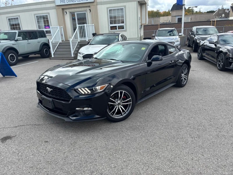 Ford Mustang * EcoBoost * CARFAX * Цена до България - 37950 лв. / 19403.53 € - 12499071 1 | Car24.bg Ford Mustang * EcoBoost * CARFAX * Цена до България - 37950 лв. / 19403.53 € - 12499071 1