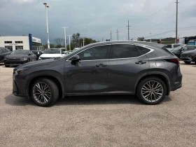 Lexus NX 350h * CARFAX * ОПЦИЯ ЗА ФИНАНСИРАНЕ | Auto.bg — изображение 2 Lexus NX 350h * CARFAX * ОПЦИЯ ЗА ФИНАНСИРАНЕ | Auto.bg — изображение 2
