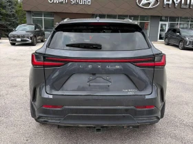 Lexus NX 350h * CARFAX * ОПЦИЯ ЗА ФИНАНСИРАНЕ | Auto.bg — изображение 4 Lexus NX 350h * CARFAX * ОПЦИЯ ЗА ФИНАНСИРАНЕ | Auto.bg — изображение 4