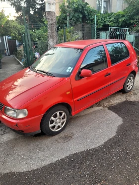 VW Polo