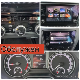 Skoda Octavia 4x4! 184кс! Автомат! Реални км! - 28699 лв. / 14673.57 € - 75988143 12 | Car24.bg Skoda Octavia 4x4! 184кс! Автомат! Реални км! - 28699 лв. / 14673.57 € - 75988143 12