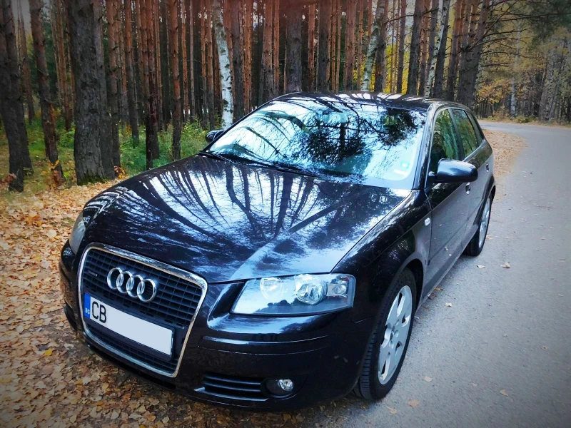 Audi A3 Sportback 2.0 TFSI quattro - 4350 € / 8507.86 лв. - 40121682 1 | Car24.bg Audi A3 Sportback 2.0 TFSI quattro - 4350 € / 8507.86 лв. - 40121682 1