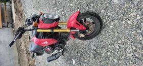 Honda MSX125 Monkey | Auto.bg — изображение 5 Honda MSX125 Monkey | Auto.bg — изображение 5