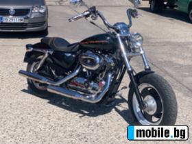     Harley-Davidson Sportster 1200  ~15 500 .