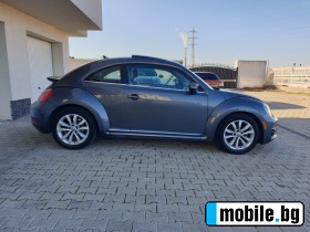     VW New beetle 2.0 TDi    ~17 500 .