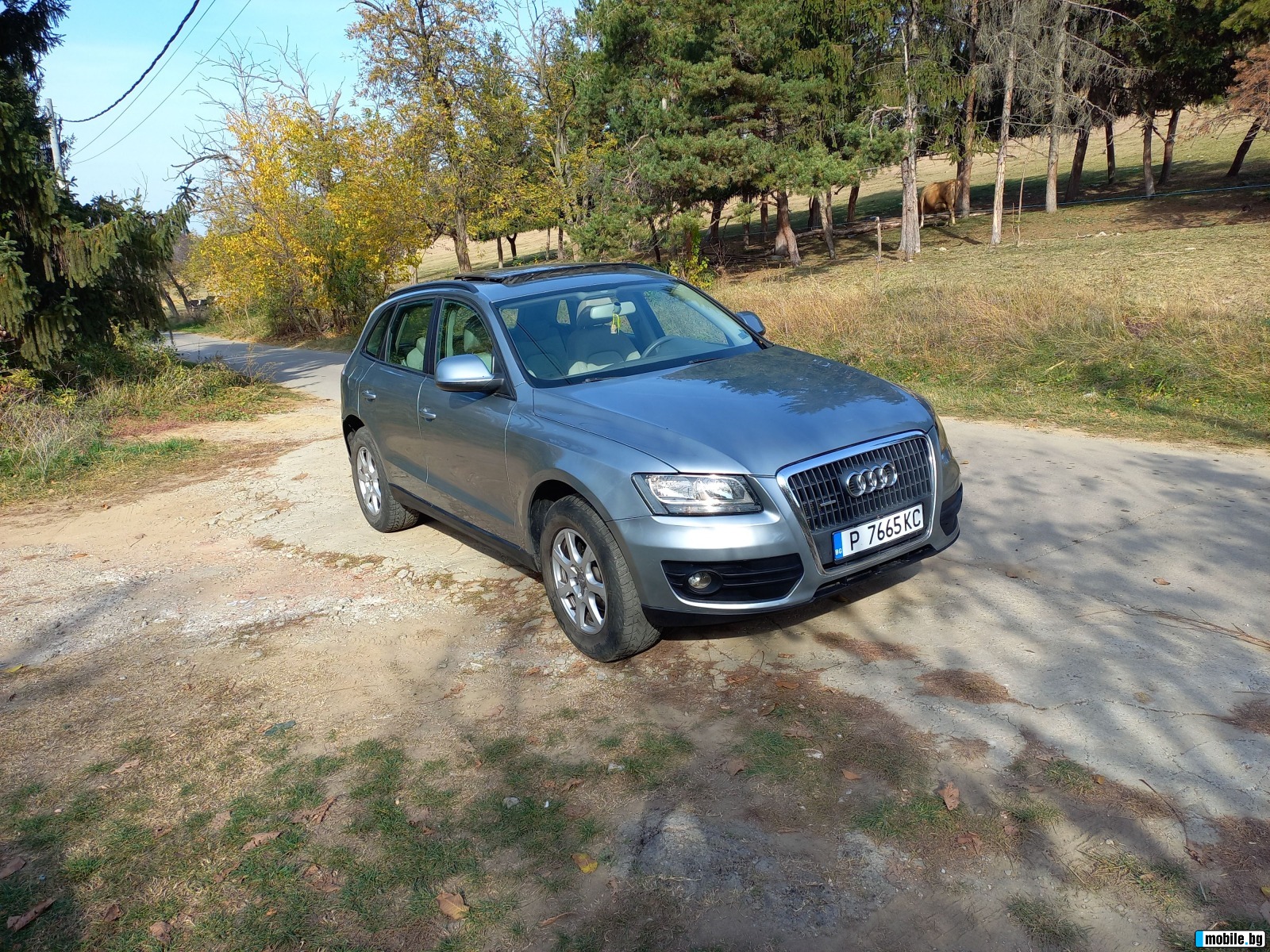 Audi Q5 2.0 TDI | Mobile.bg   14